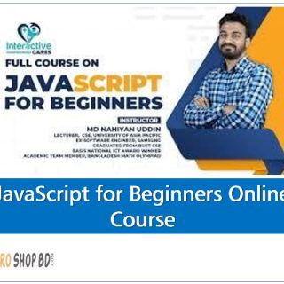 JavaScript for Beginners Online Course,JavaScript fundamentals online course,Learn JavaScript online,JavaScript for beginners tutorial